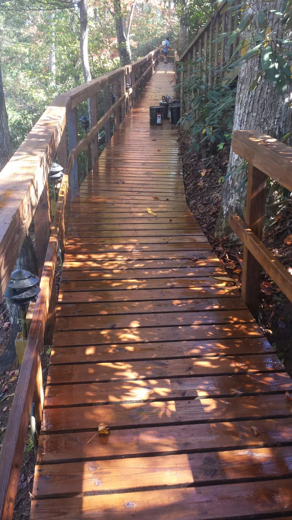 Freshly stained wood walkway winding through the woods in Clay
