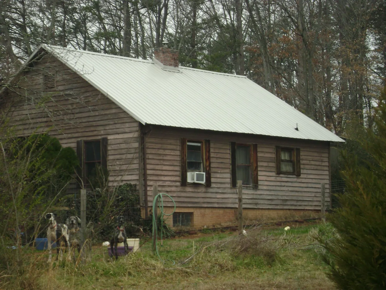 White metal roof on an old wood sided farmhouse, from a Asphalt Shingle Roof Repair job in Clay